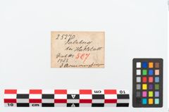 Etikett zu Bronzearmreif (NHMW-PRAE-025270)